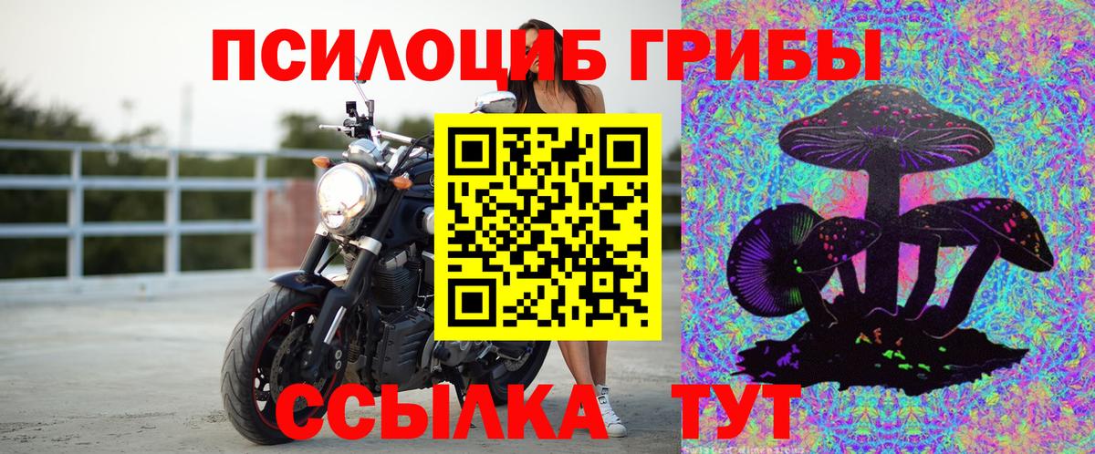 Чапаевск  Галлюциногенные грибы мухоморы  Вход с VPN 